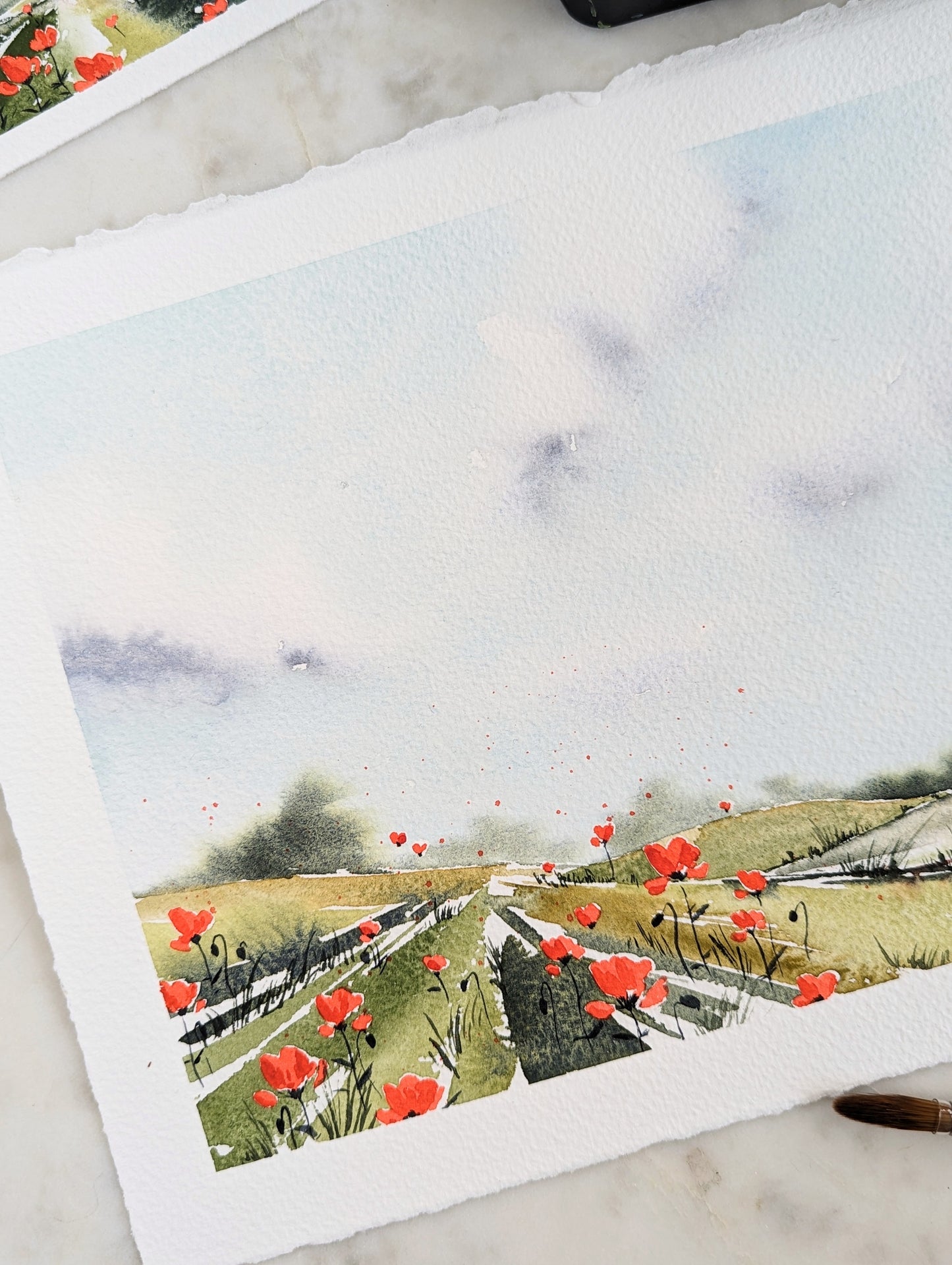 Coquelicots #1