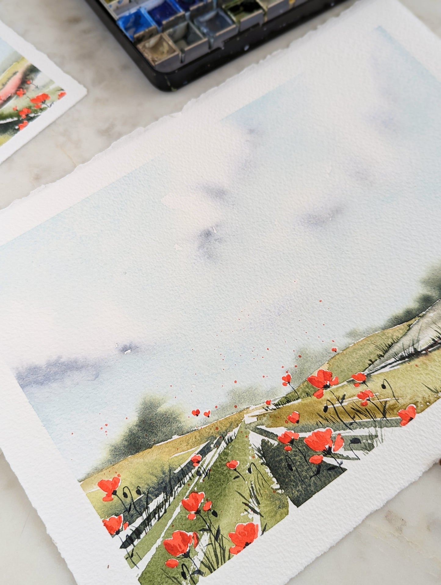 Coquelicots #1