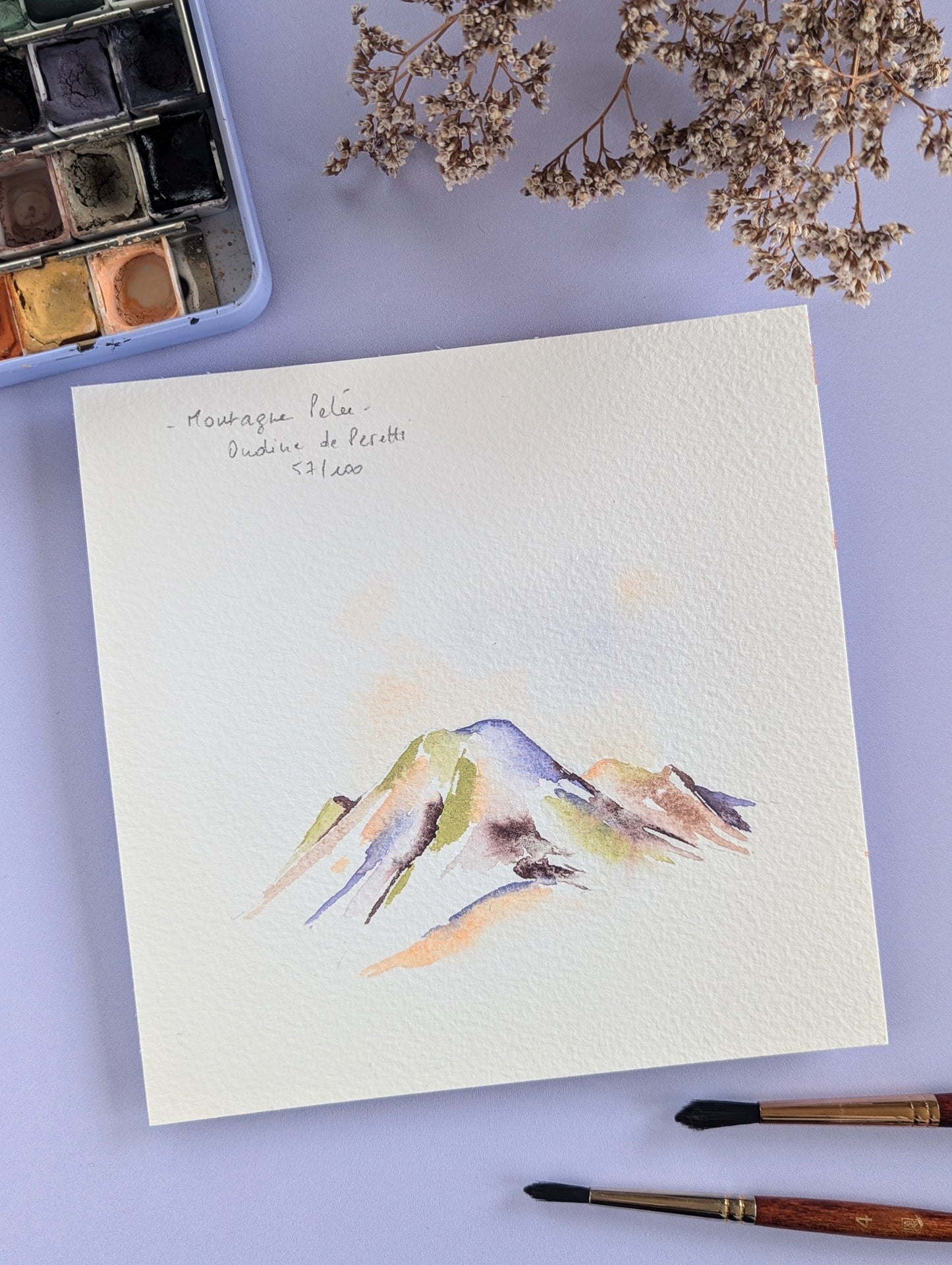 057 - Montagne Pelée