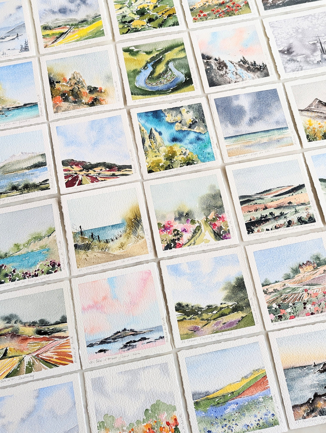 100 day project watercolour