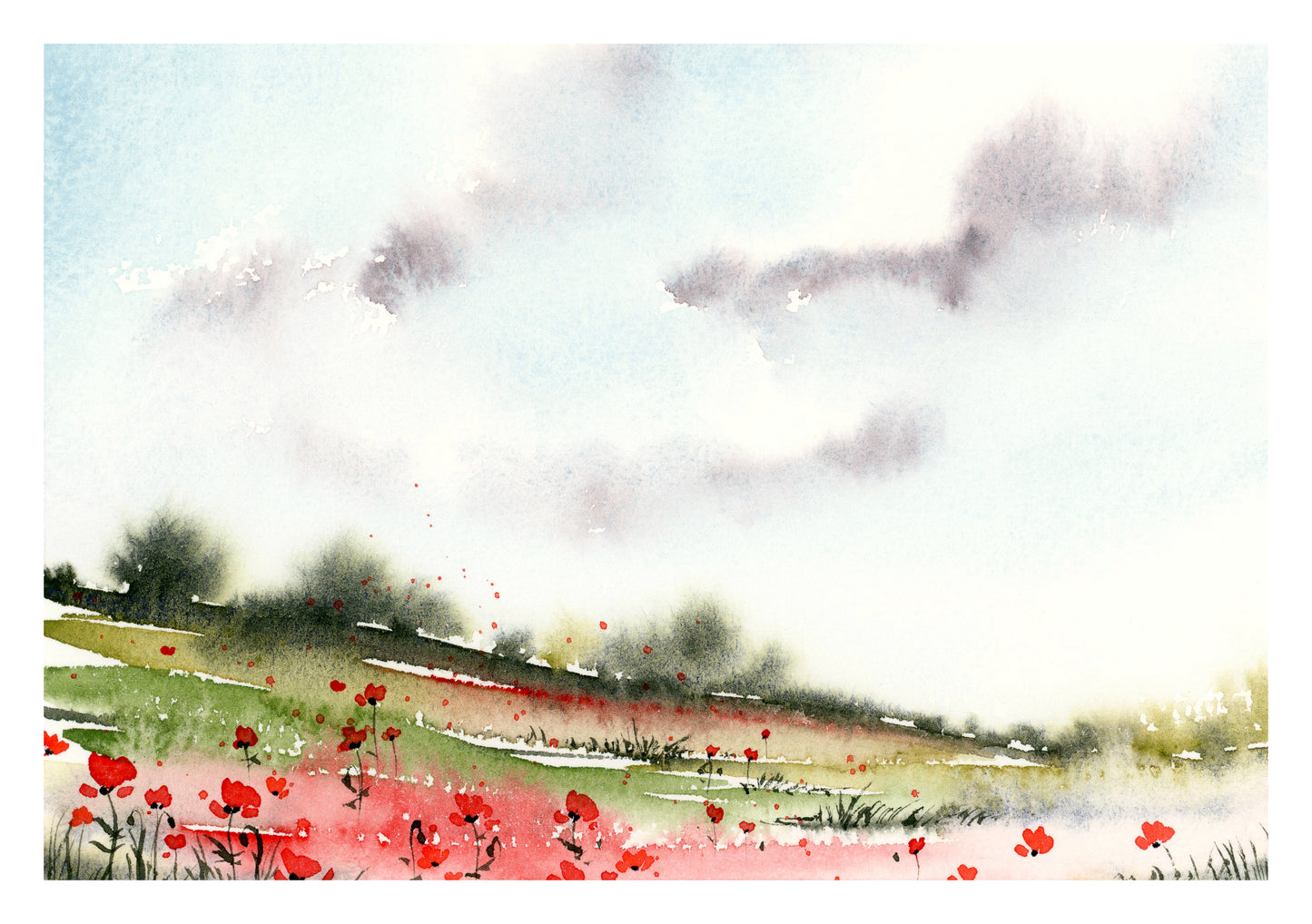 Poppies #2 - Fine Art Print