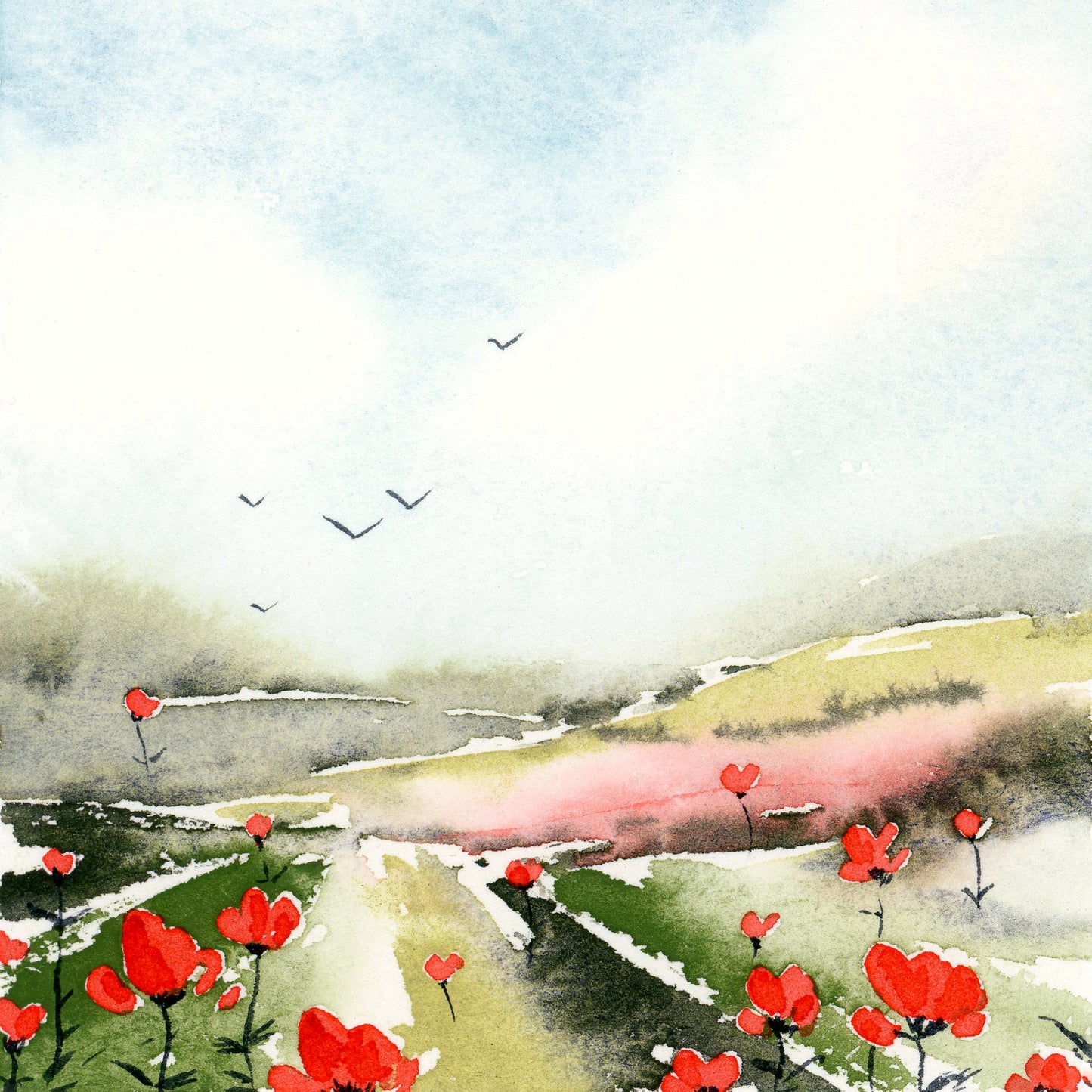 Poppies #5 - Fine Art Print